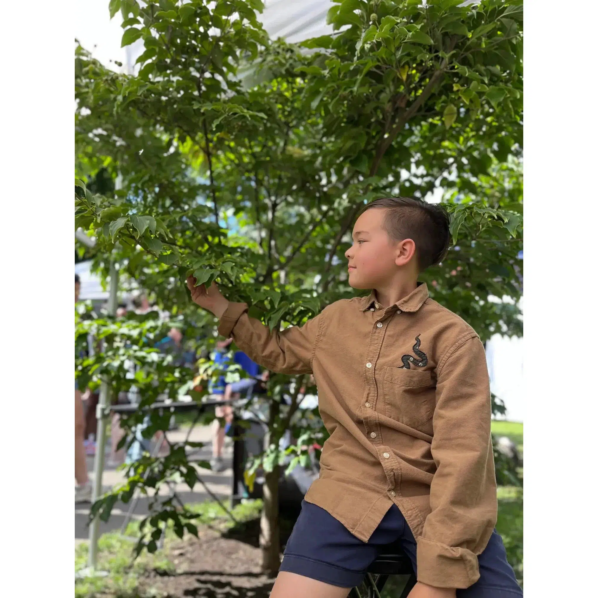 Product image 17